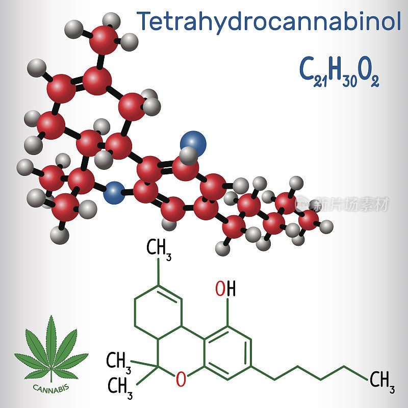 四氢大麻酚(THC) -结构化学式和分子模型。大麻的主要精神活性成分是什么